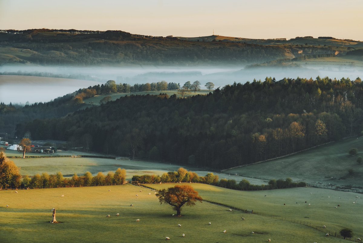 Daniel Casson tweet media