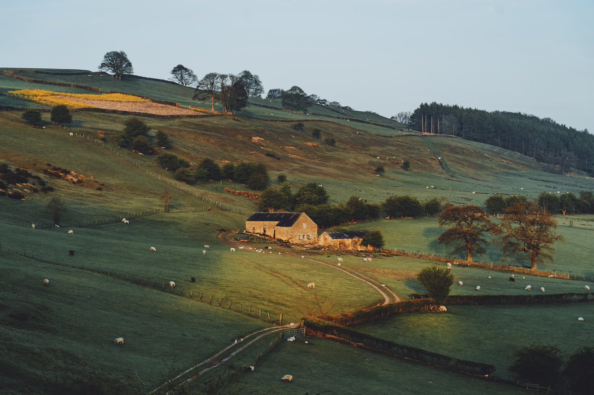 Daniel Casson tweet media