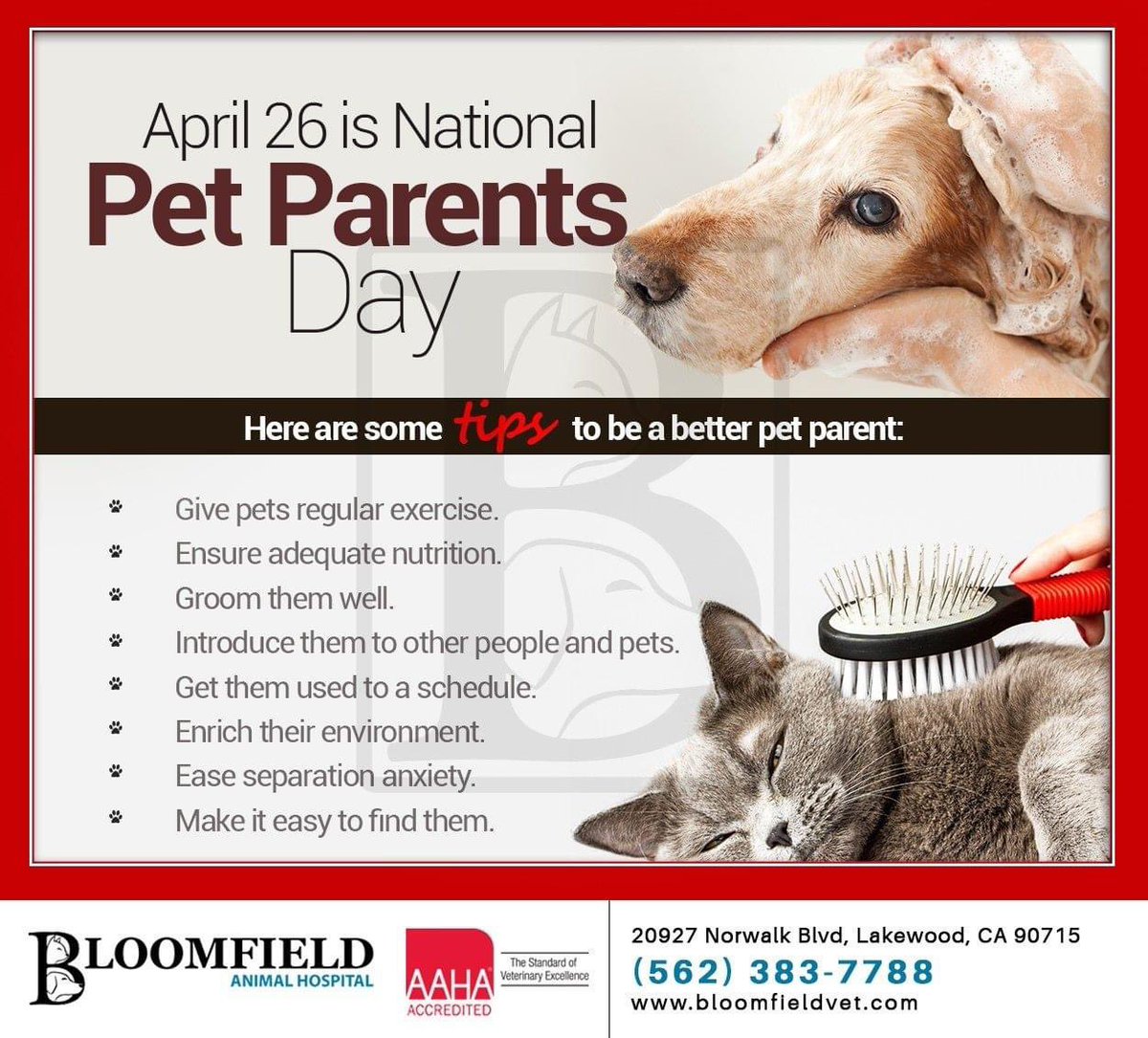 Grandpaws3's tweet photo. Happy #Petparentsday I know this time is hard but pets makes it easier. https://t.co/kX9uBt17kX #AllInThisTogether #BeKind #donationsneeded #StayHome https://t.co/Ft6WdduSMw