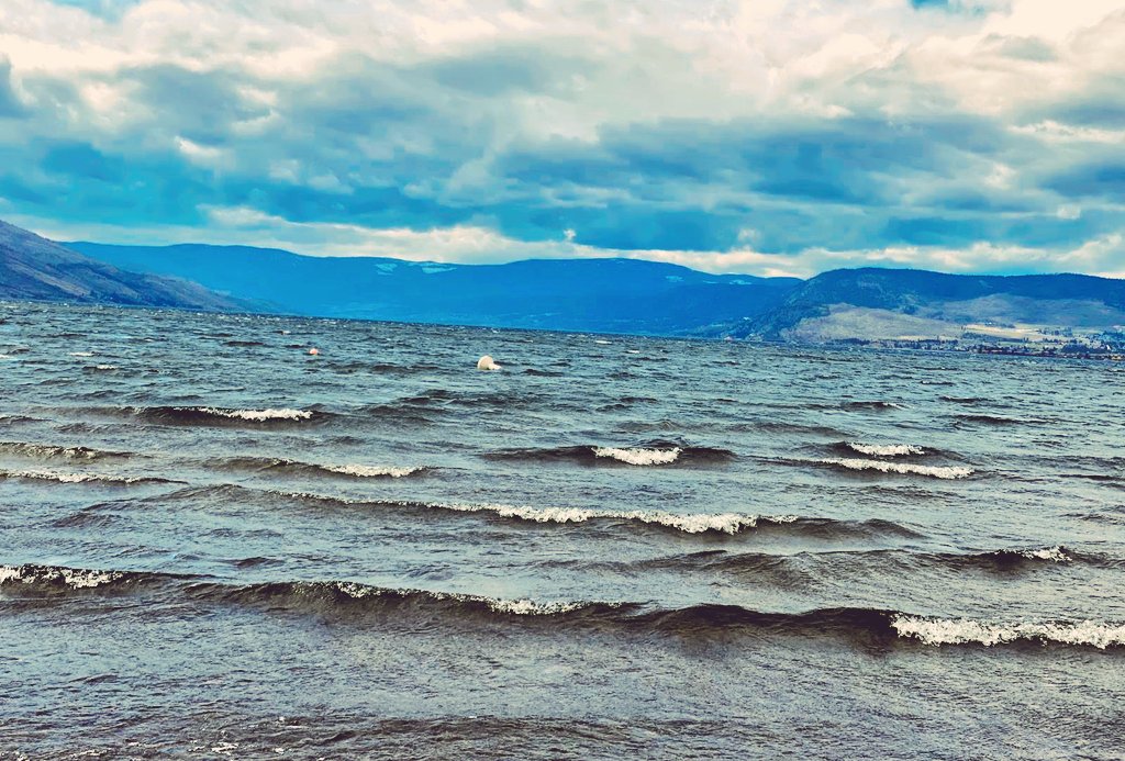 iamvats09's tweet photo. #travel #time #lake #nature #Kelowna #okanaganlake #okanaganvalley https://t.co/YoKjT4k5r4