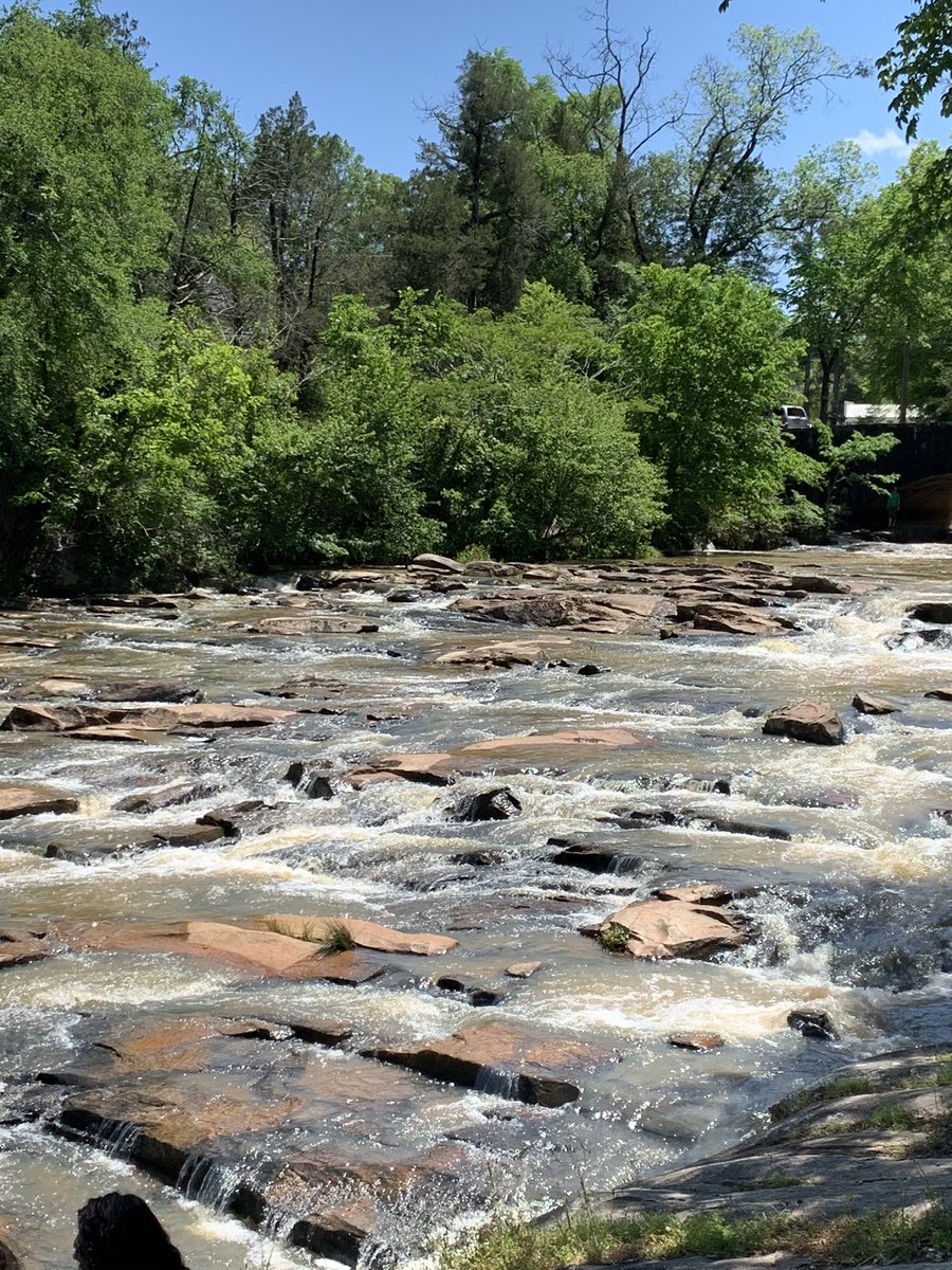 Allie Robinson tweet media