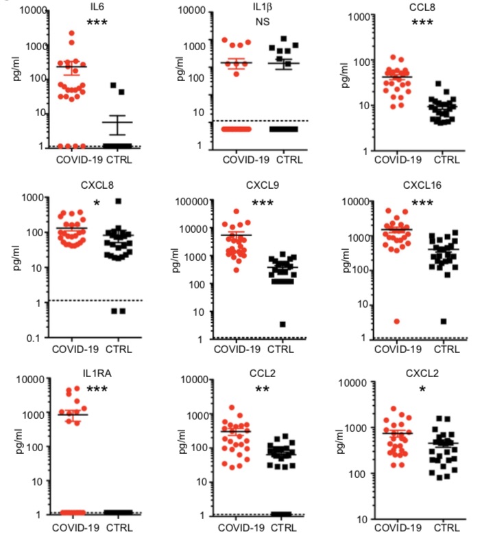 The chemokines induced by SARS-CoV-2 have been shown to recruit and activate monocytes (CCL2, CCL8) and neutrophils (CXCL2, CXCL8). The induced cytokines include IL6 and IL1RA, which are also seen in "cytokine storm".