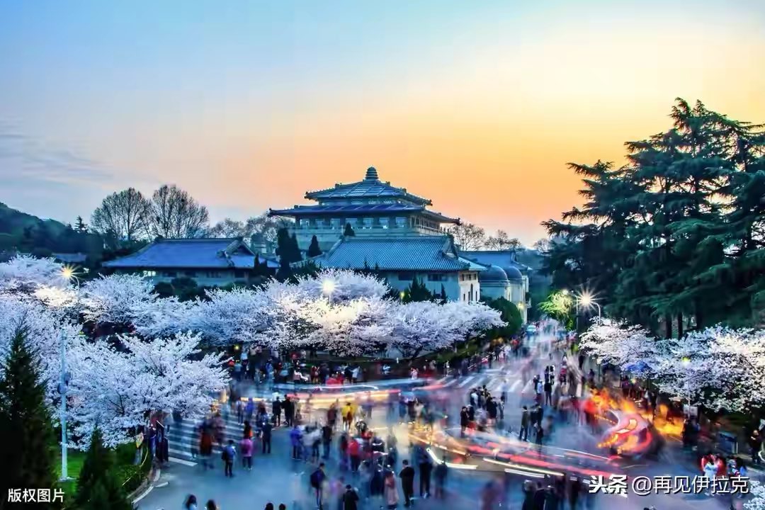 武汉解封，伊拉克老铁竟然发来段子，成功让笑容替代上次的眼泪t.cn/A6APBxb4 ​​​ m.toutiaocdn.com/group/68134787…