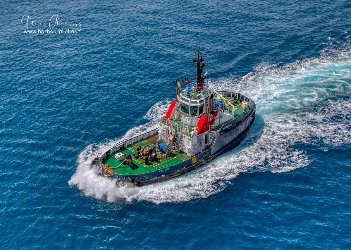Harbour Pilot tweet media