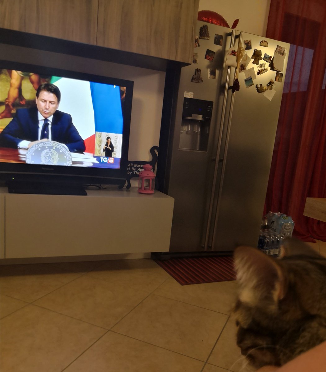 Francesca_kiki's tweet photo. Anche noi ti stiamo guardando presidente Giuseppi.
#Conte #Giuseppi #conferenzastampa #Fase2 https://t.co/8t8yE34Ivb