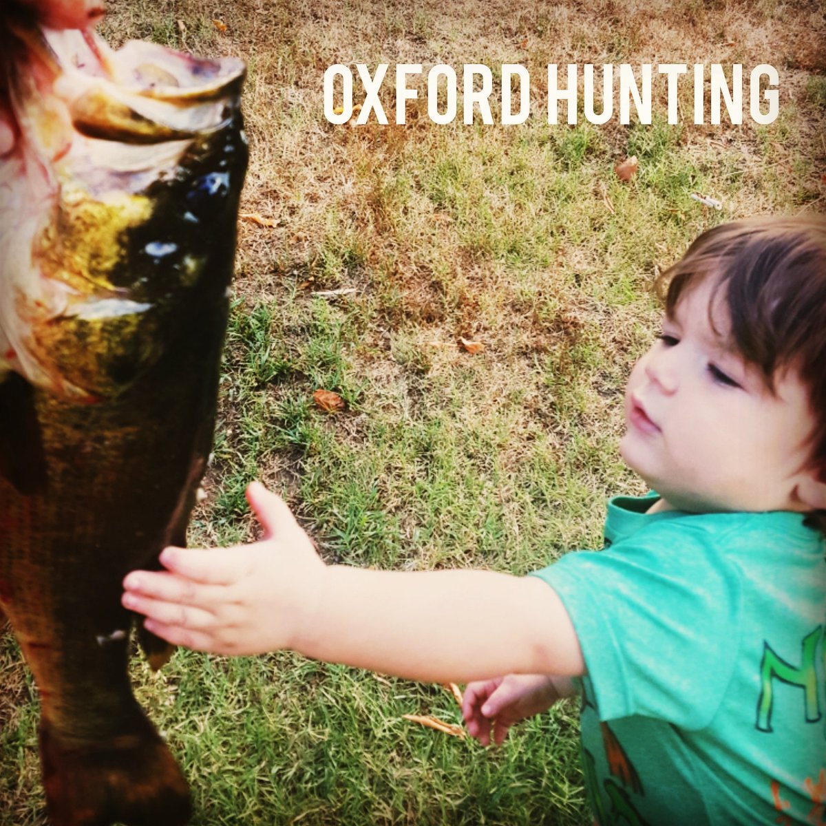 Today looks to be a great day today. Get your poles ready and Tight Lines to anyone going fishing today!
#fishingadventures #pesca #creekfishing #fishingdaily #fishingisdope #fishinglife #fishing #pondfishing #googansquad #topwaterfishing #topwaterbassfishing #summerfishing #fish