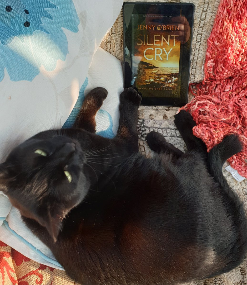 ScribblerJB's tweet photo. I think that's a paw up from my publicity manager, Nighty 😂
#SilentCry Welsh-set crime thriller out now. 
https://t.co/tnhjz7JDeL #BlackCat #JandV https://t.co/PvGSzYN7Zd