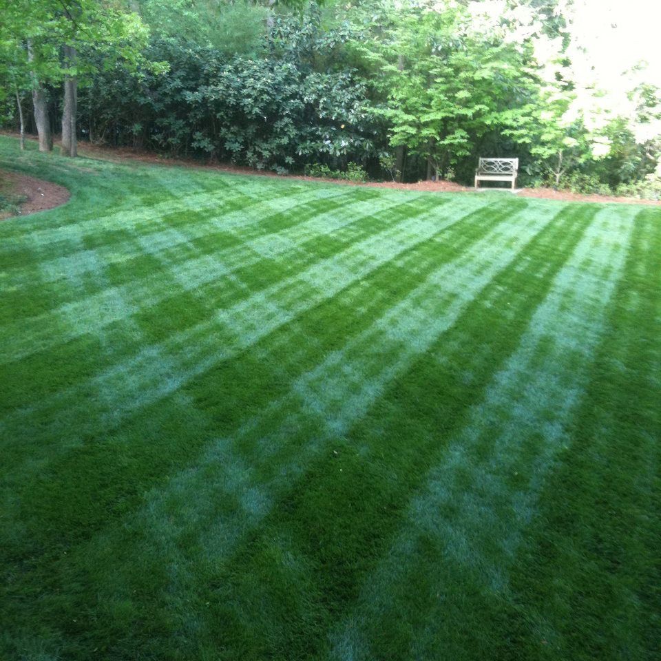 SureCut's tweet photo. We will conduct a landscape analysis for a personalized lawn and landscape care program estimate focusing on your preferences and the recommendations from our horticultural, turf, and landscape design experts.

(216) 302-8775
https://t.co/XTymLeacrC https://t.co/9L9Vsj6eLL