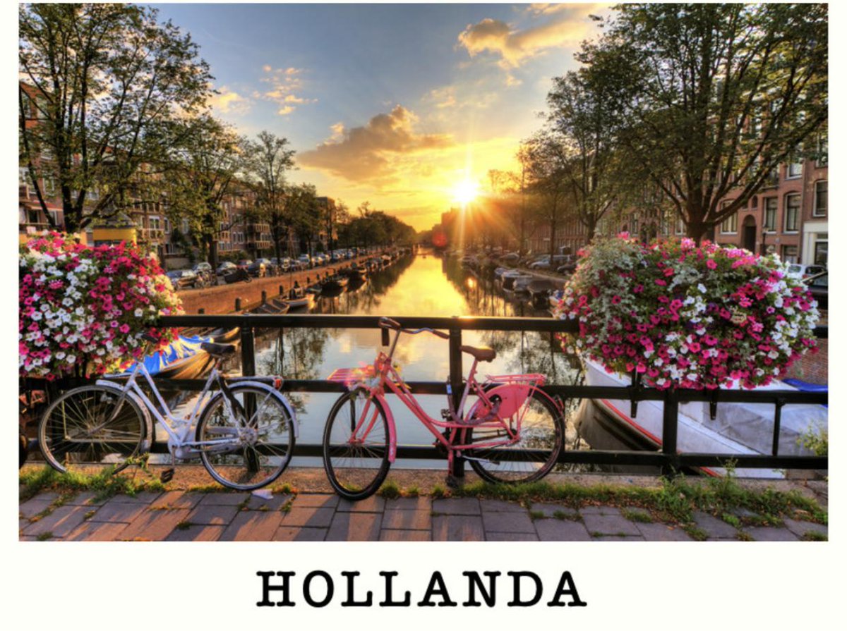 visacenter_tr's tweet photo. Visa Center  ile Hollanda Ülkesini Keşfetmeye Hazır Mısın? Detaylı bilgi için yepyeni sayfamızı ziyaret etmeyi unutmayın.. 
https://t.co/QChR2a0Hrn
#hollandavizesi #hollandaturistikvizesi #hollanda #ankara #gaziantep #Hayallerinizbiradimotede https://t.co/vWaMmfBmQv