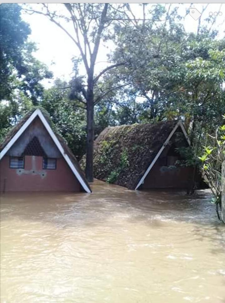 #Covid_19 already killed the #tourism season in Kenya and, now on top much property damage due to #MaraRiver going out of its banks (photo: Geemi) @GroundTruth20 @ihedelft