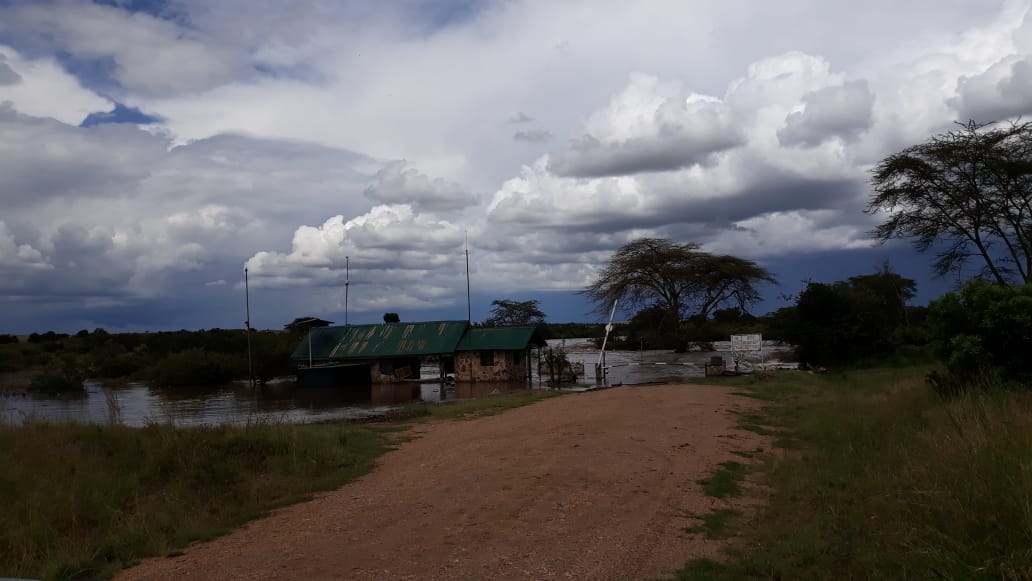marainfoke's tweet photo. Heavy flooding of Mara River at Purungat, raised bridge fully submerged @MMaraUniversity @ContactMMWCA thanks to #Geemi. @WRA_Kenya @NarokCountyGov1 @dailynation @StandardKenya @ihedelft https://t.co/Ra1C65n99k