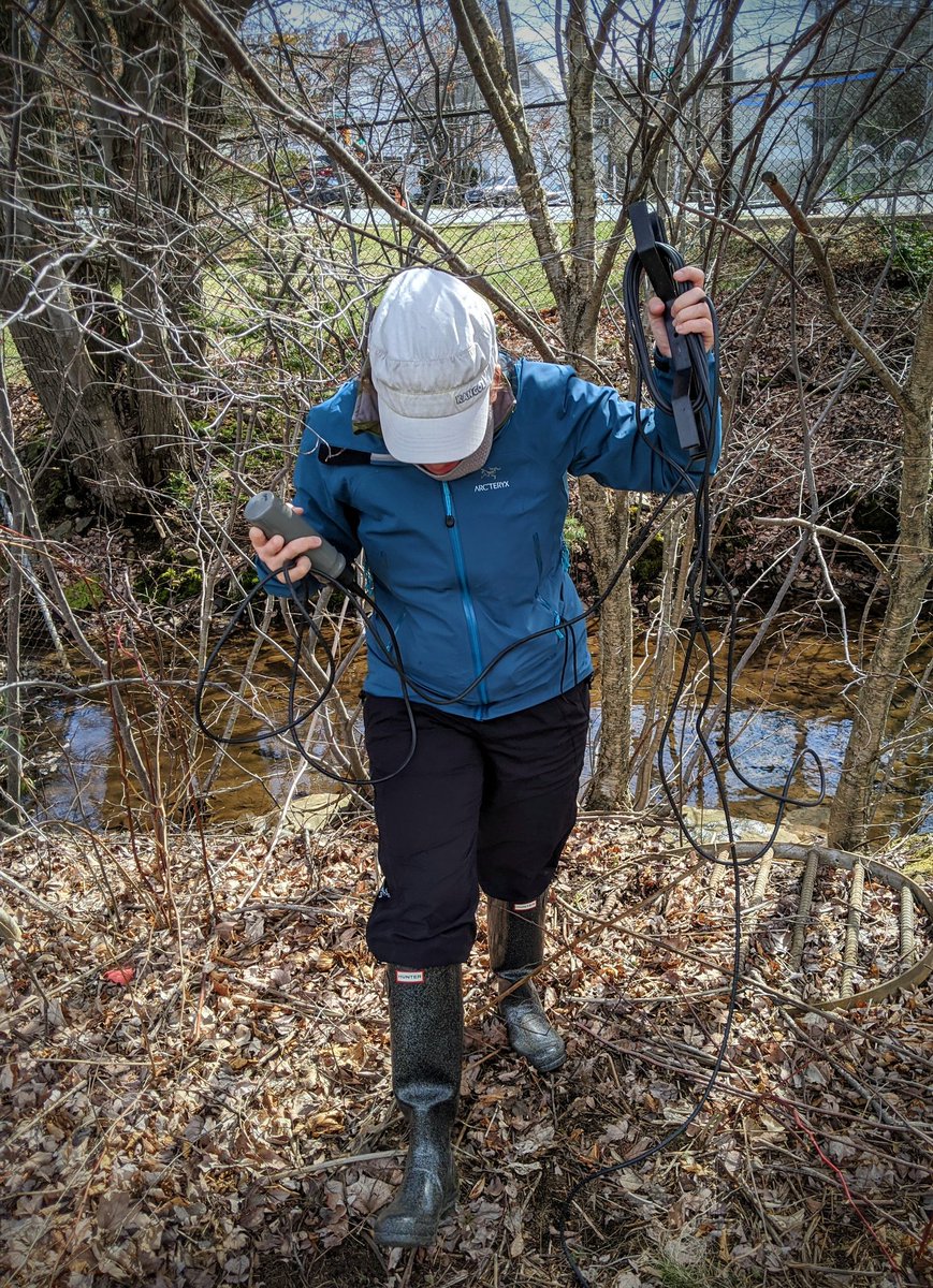DrRob_Thacker's tweet image. Some quick Sunday afternoon sampling to add to the water quality project @LM_Campbell is leading. Beautiful day ☀️ feeling like it has some real warmth in it, and trees budding. #backyardscience
