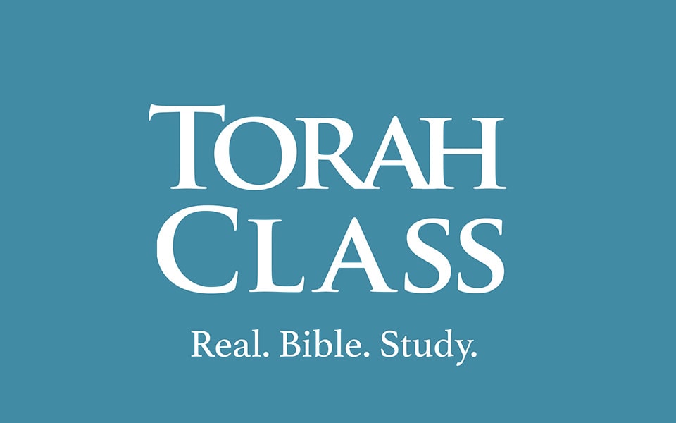 lightcast_inc's tweet image. Lightcast has been an absolutely amazing partner for Torah Class! Between their easy-to-use Media Cloud software and their outstanding customer service... read more at: bit.ly/2JL6pfN  #OTTPlatform #OTTStreaming #OTTDeveloper #OTTCompany