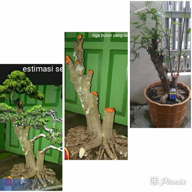 Saya menjual Anting put... seharga Rp4.000.000. Dapatkan produk ini hanya di Shopee! shopee.co.id/joni_1982/5013… #ShopeeID