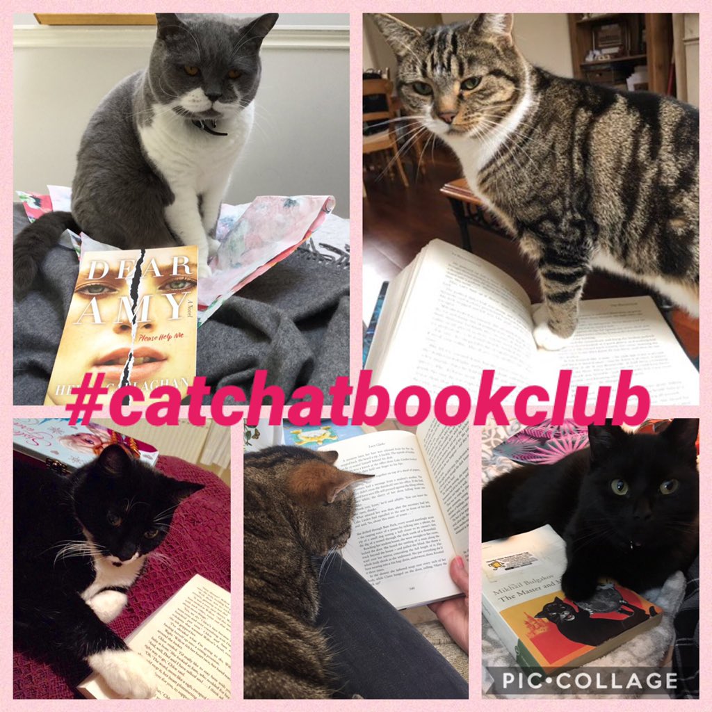 Welcome to  #catchatbookclub  PLEASE JOIN US FOR BOOK CHAT! Some of us have been reading  #LittleFiresEverywhere   by  @pronounced_ing so of course we have themed refreshments! Enjoy! Don’t furget to include  #catchatbookclub hashtag in your tweets!  (continued...)