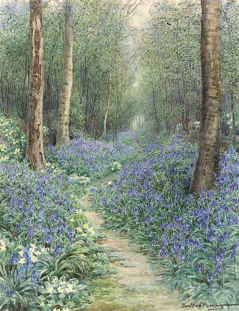 The Bluebell Wood #BeatriceParsons #wildflowerhour