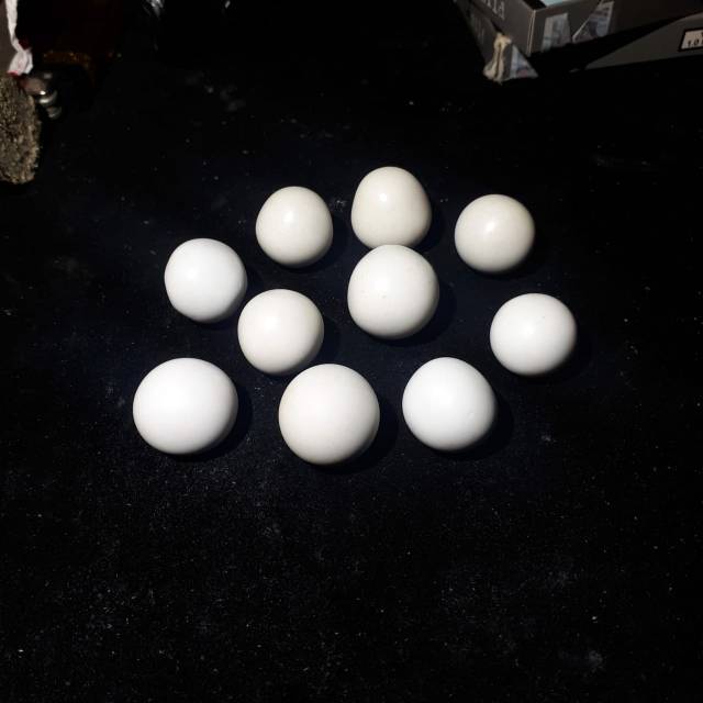 Saya menjual Natural a... seharga Rp10.000.000. Dapatkan produk ini hanya di Shopee! shopee.co.id/joni_1982/3822… #ShopeeID