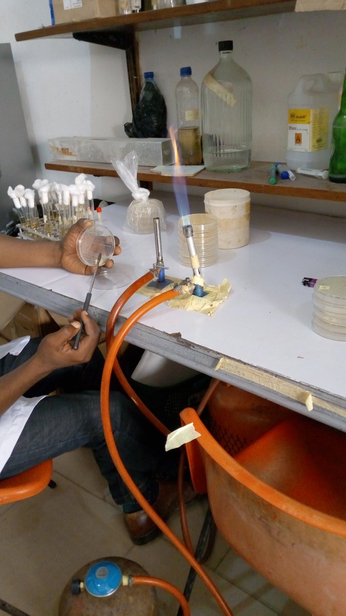 I'm Richard OMOLE, a postgraduate student (Microbiology-Obafemi Awolowo University). The need for the professionalization of Microbiology is long overdue. The roles of Microbiologists can't be overemphasized in Nigeria..
#professionalizeMICROBIOLOGY 
#professionaliseMicrobiology