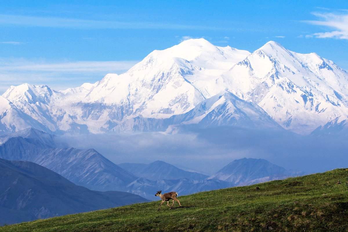 SierraClub tweet picture