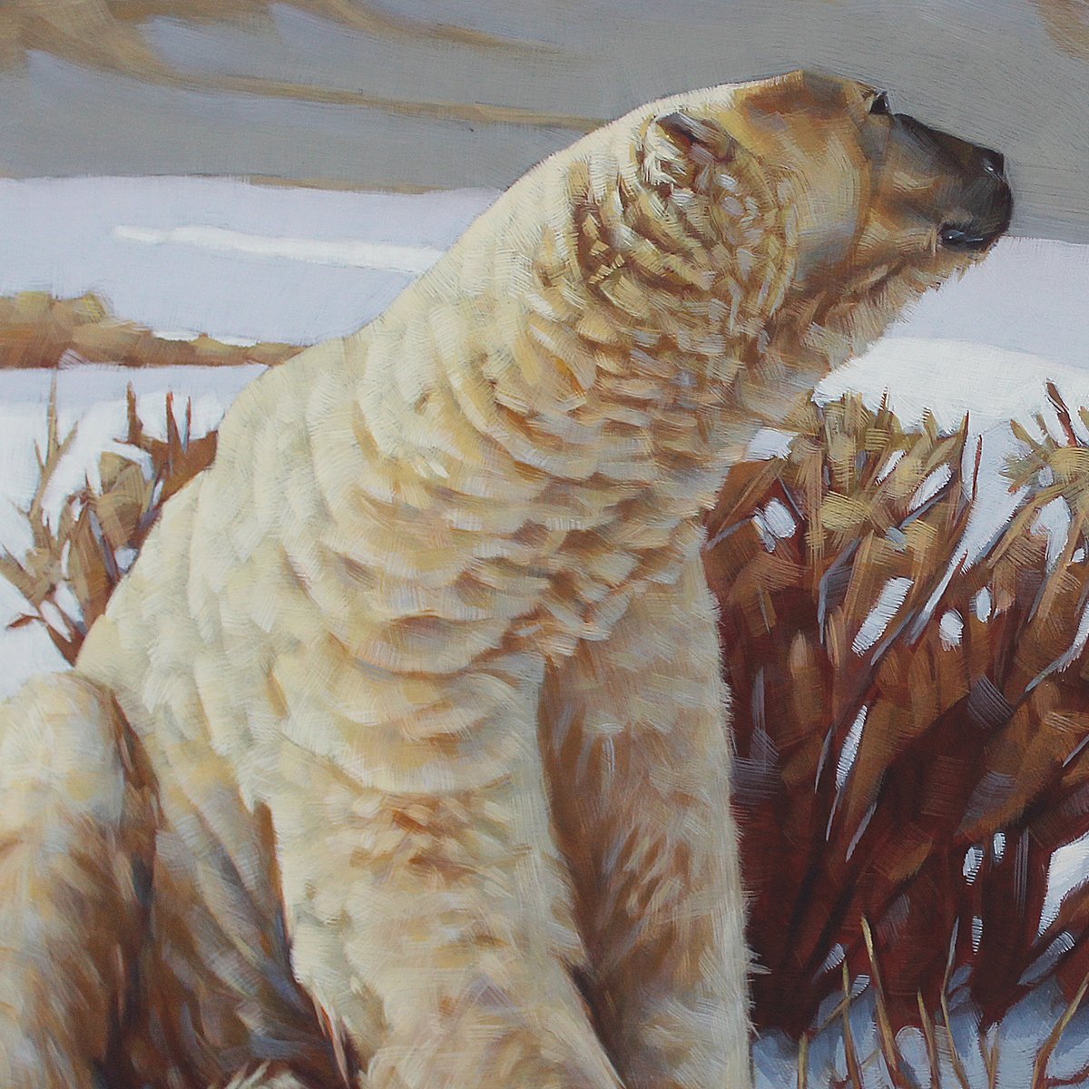 Rearviewstudio's tweet photo. Original painting titled "Pop Goes The..."
An arctic fox pops up behind some shrubs, while a polar bear nonchalantly takes notice. This is a 32"X21" gouache painting on 110 Crescent cold press, illustration board. https://t.co/BrRq8YAHO1
#polarbear #arcticfox #animalart #gouache https://t.co/OyJzhAgHkb