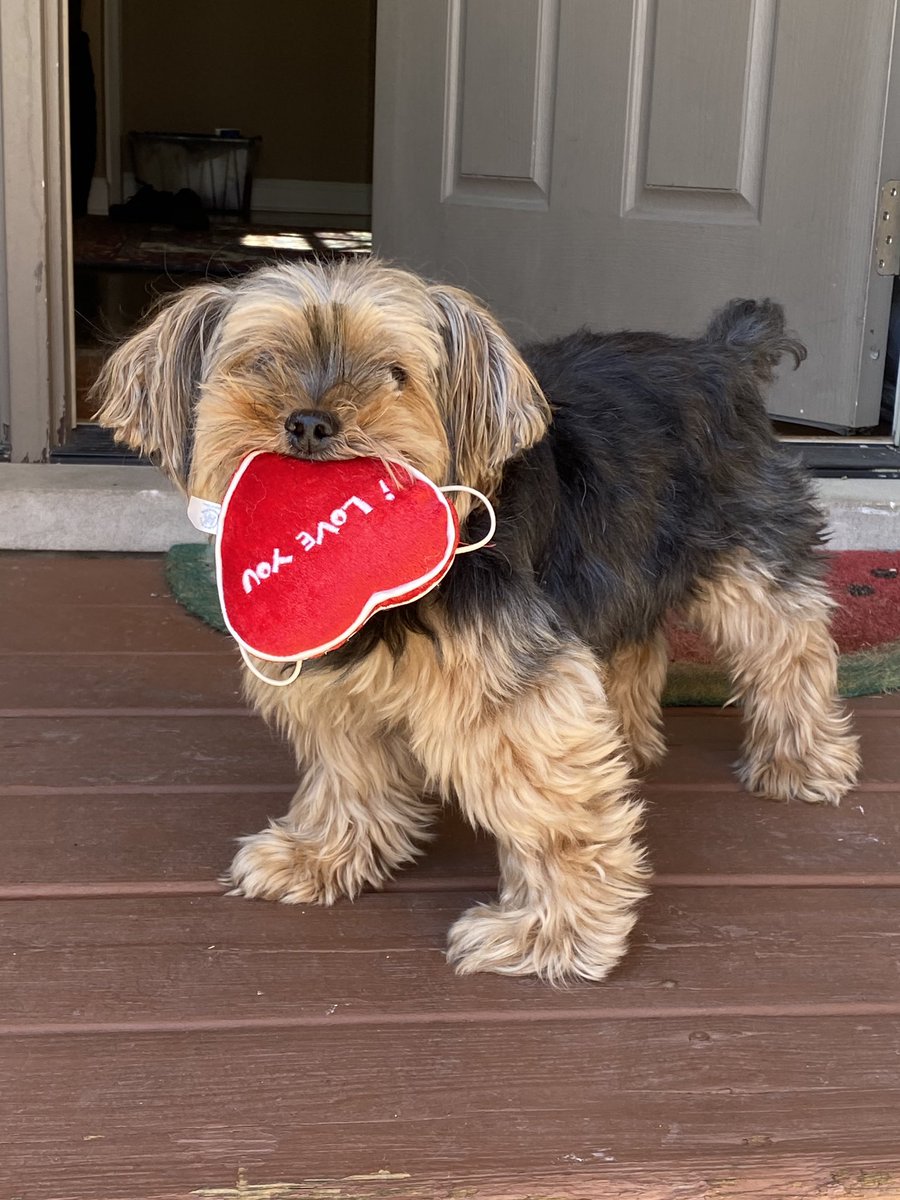 AMorrison_CHG's tweet photo. Permission to feel.... and to share those feelings.   Now more than ever. (P.S., his name’s Mocha.) #PermissionToFeel @caselorg @Camelot_Ed https://t.co/1HtCkPsoNy