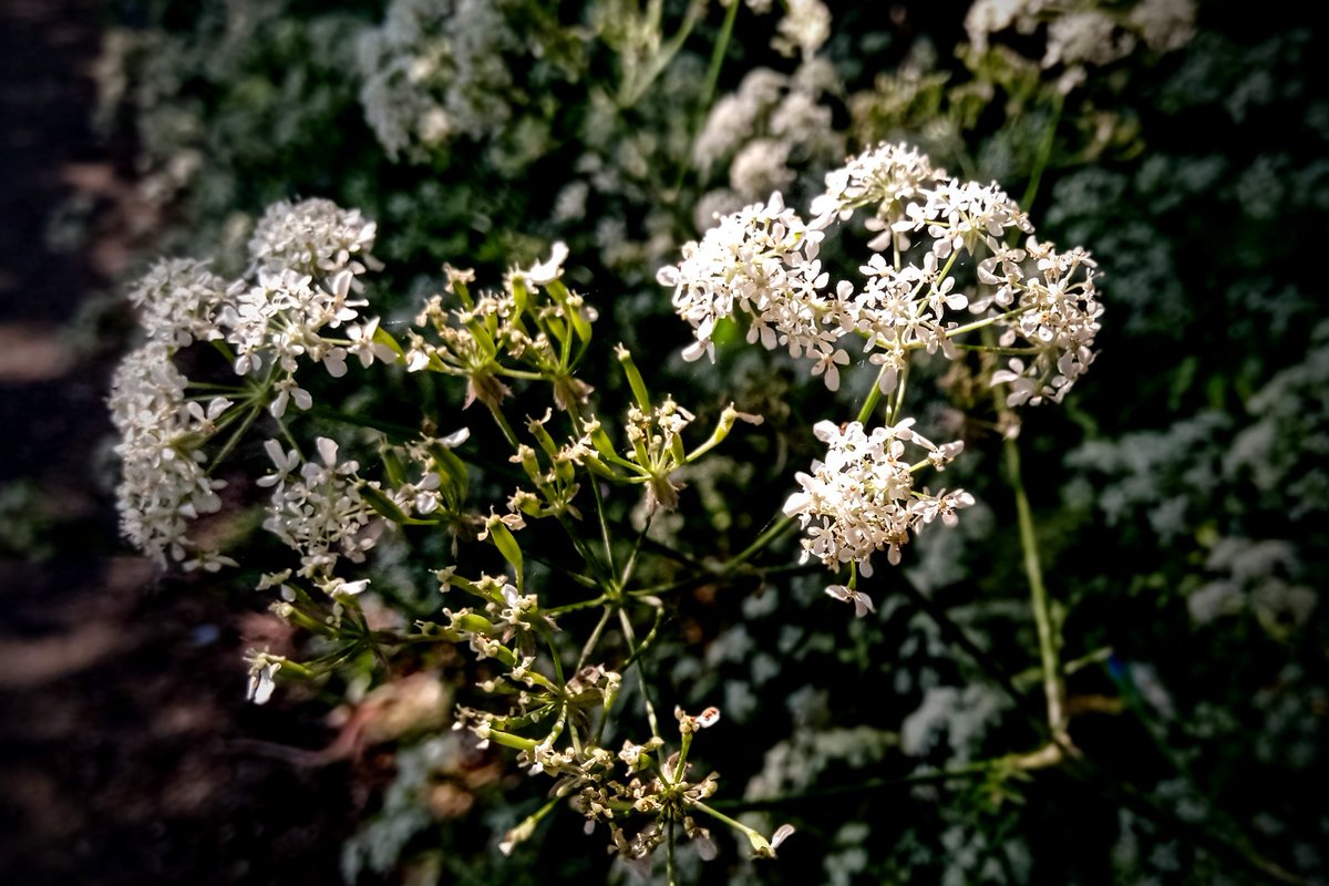 Srikanthislive's tweet photo. #OneExerciseaDay https://t.co/nq4L9m0glY