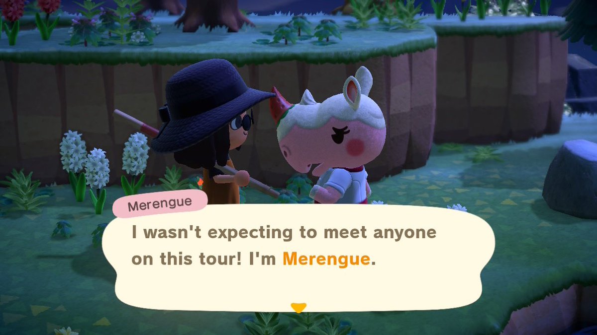 island #6 - GUYS I FOUND MERENGUE  you’re coming home with me 