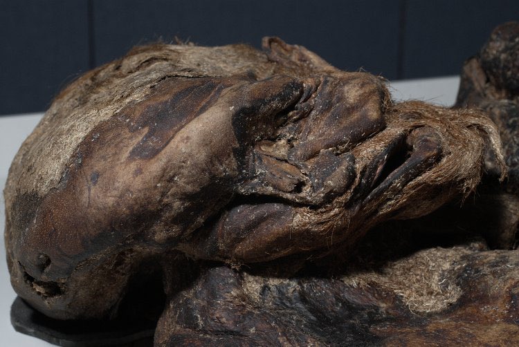 This visit, we go into a dark exhibition space, with an AV about human sacrifice and garrotting. I am TERRIFIED and fascinated. It’s my first (and last) encounter with Lindow man 