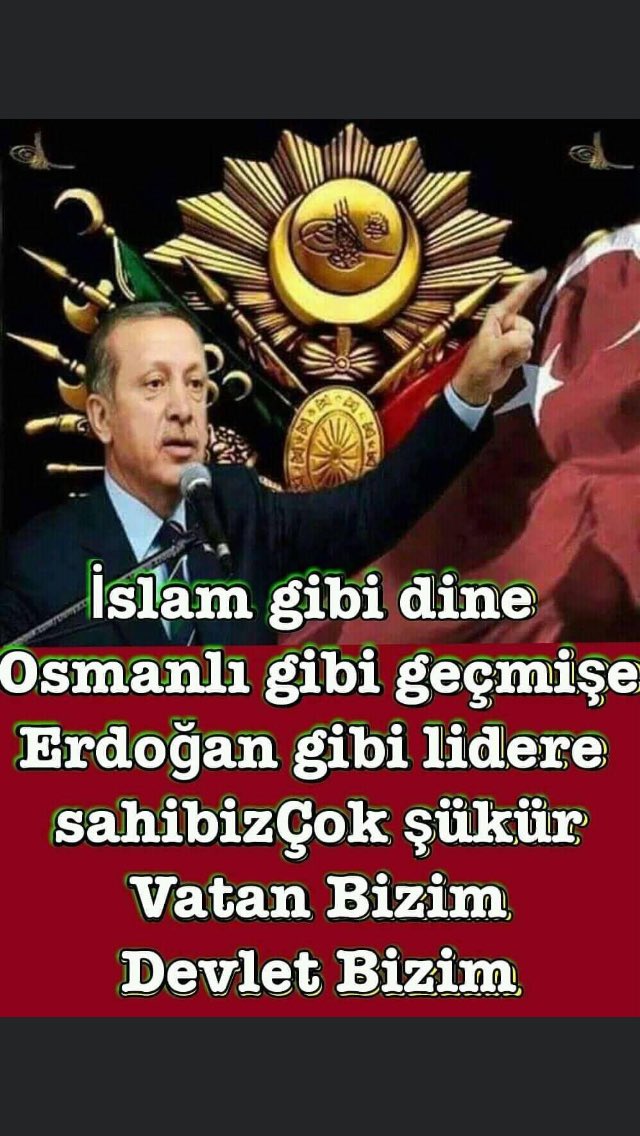 sıtkı ışık tweet media