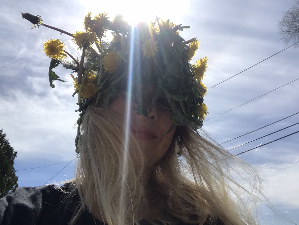 #GISH Item #26 #weeds #dandelions #strawhat #allergymeds @yolon_gish2020