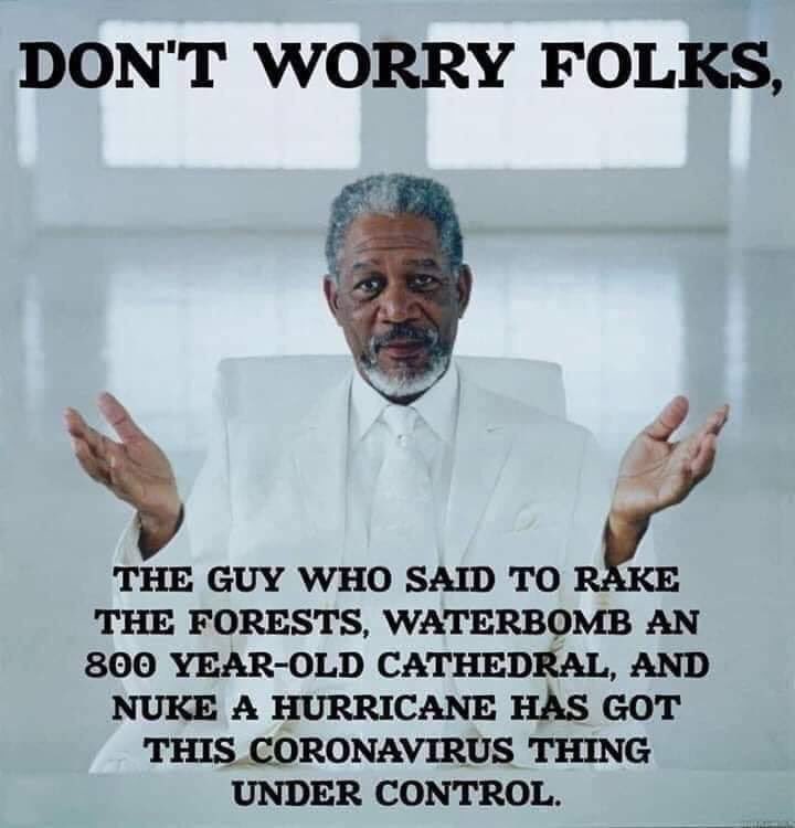 BlufordJackson's tweet photo. @KDWinn8 @SkeptiCatz @realDonaldTrump I shared quotes
Those " " are QUOTES

Might wanna "do a lil research" on what those mean.

Now you're welcome to keep babbling on. I won't care. Nor will I see it. Don't take it personal, I block ALL idiots unglued at the seams.

And FYI, I'm not a Democrat...lol
This is a meme👇 https://t.co/gqM2isWaDb