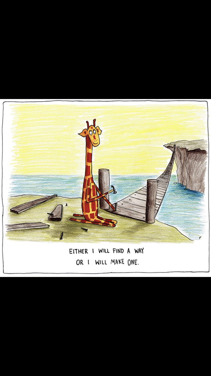 Vibrant_Socks's tweet photo. Be creative, Adapt and thrive this week my twitter friends! ❤️💜💚🌈🦒 https://t.co/IvpWGJLxW0