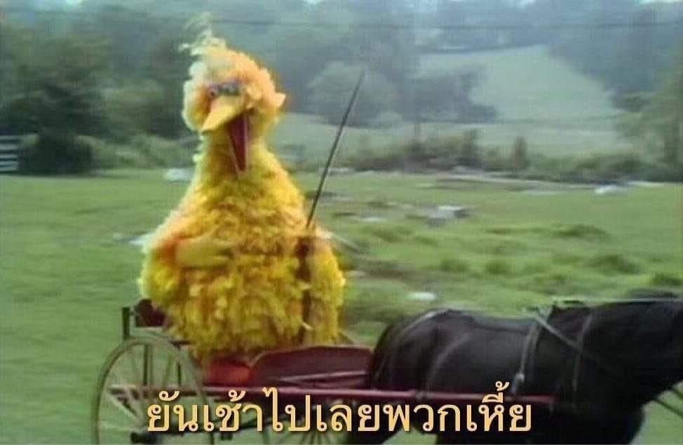 pielovesalmon's tweet photo. อิมีม big bird เนี่ย ตลกสัสๆ แล้วเหมือนภาคต่ออะ อยู่ยันเช้าไปเรยพวกเหี้ย ตอนไปเรียน ตอนทำงานก็เลยนั่งอ๊อง สติหลุด อิควายยยย 5555555555555555555555555555555555555555 https://t.co/0aHxOCg9ei