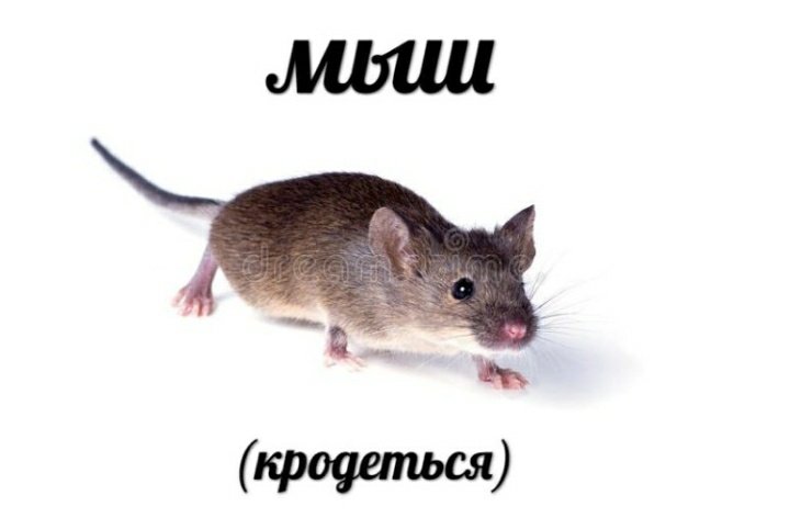 РЕБЯТ А ПОМНИТЕ???