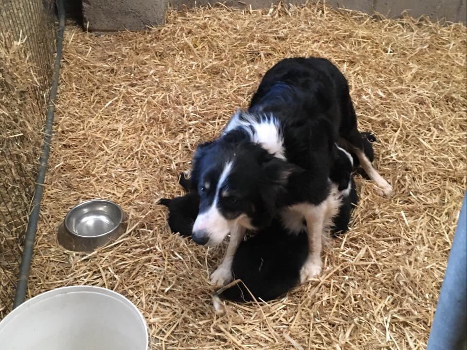 Emma Pate tweet media