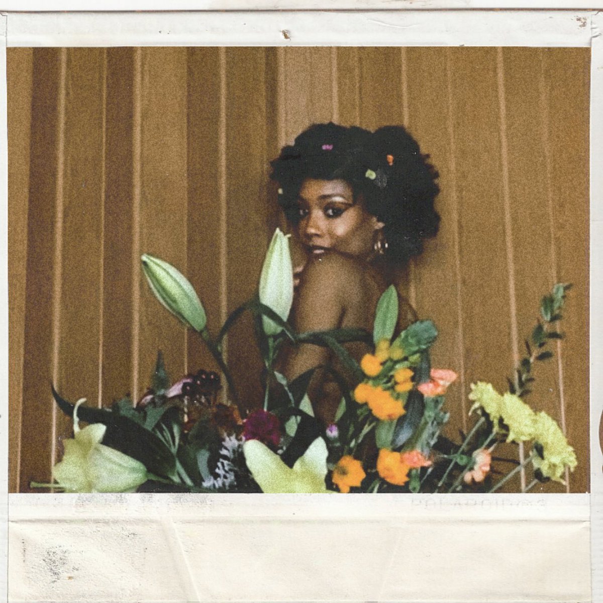 aniketheghost's tweet photo. recreated bella hadid’s shoot for vogue 💐 https://t.co/rpTsj5wpnN