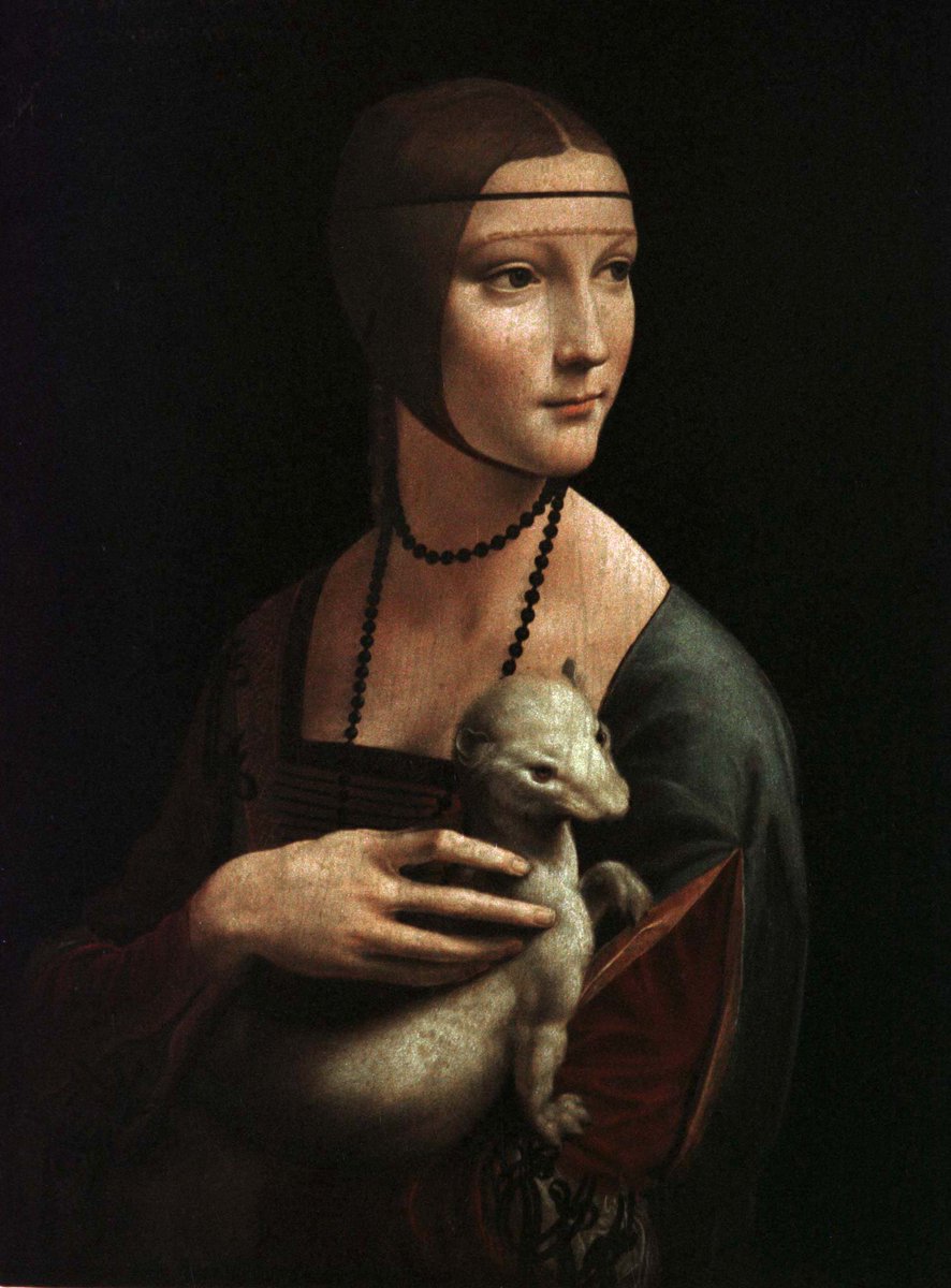 Serene PaintingAKA Lady with an Ermine by Leonardo Da Vinci