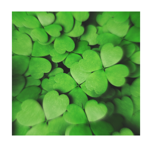 ㅤ

  「 ZEN, 
   • Hᴇ ᴡʜᴏ ᴛʀɪᴜᴍᴘʜs ʙʏ ᴄʜᴀɴᴄᴇ,
   • Oғ ᴀɴ ᴀᴘᴀᴛʜᴇᴛɪᴄ sᴏᴜʟ,  
   • Aᴄᴛɪɴɢ ᴡɪᴛʜ ᴄᴀʀᴇʟᴇssɴᴇss, 
   • A ᴛʀᴀɴsᴄᴇɴᴅᴇɴᴛ ᴏғ ᴏᴘᴘᴏsɪᴛɪᴏɴ. 」 ⠀ 

ㅤ