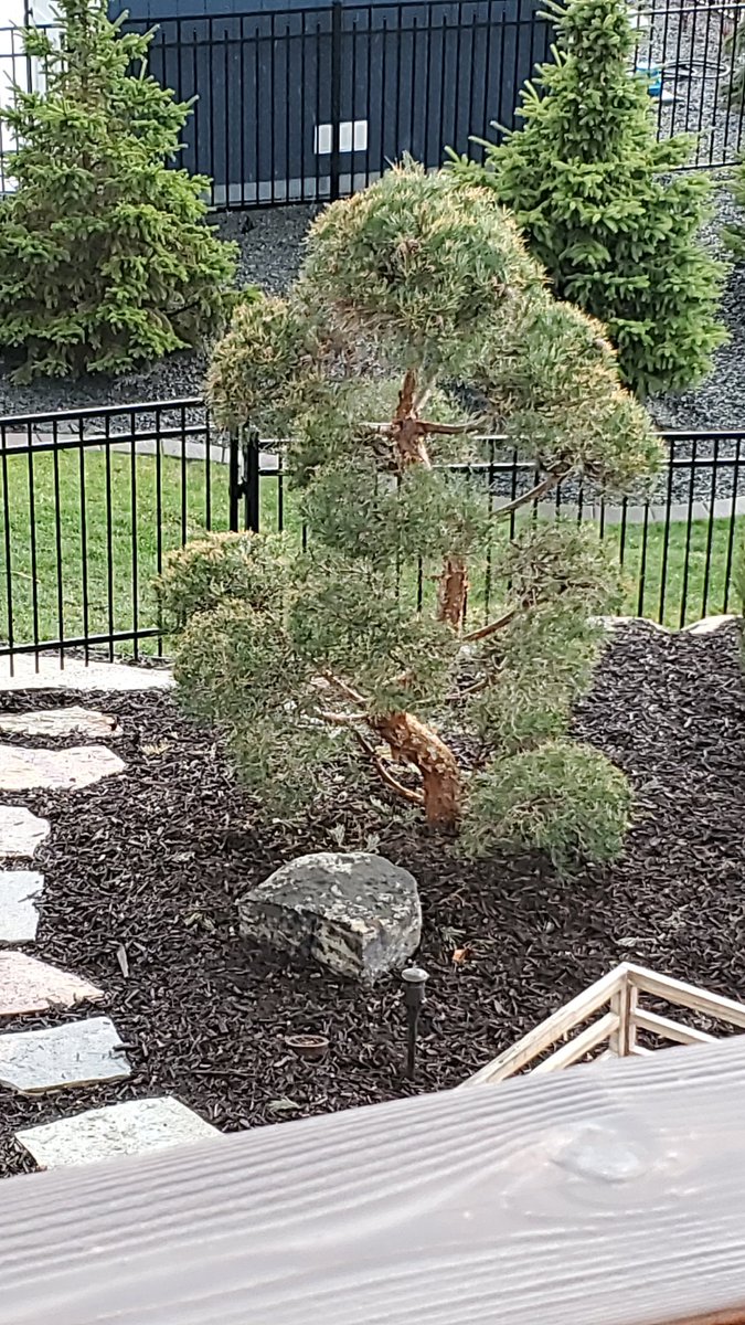 do youse nadamean tweet media