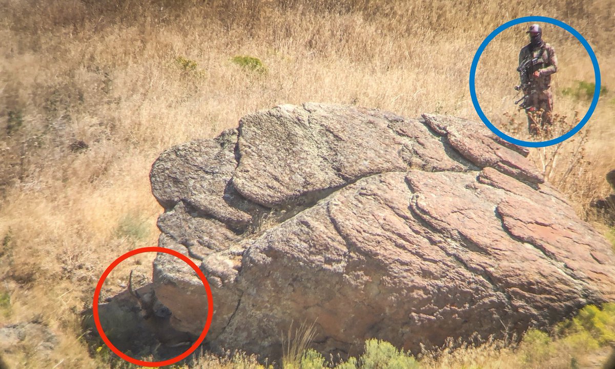 Muley Freak tweet media