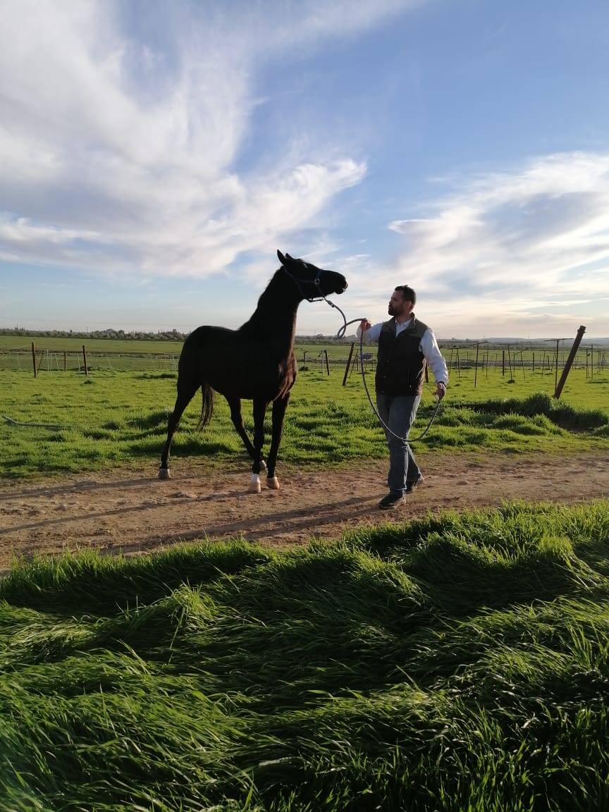 لا تَسقِني ماءَ الحَياةِ بِذِلَّةٍ
بَل فَاِسقِني بِالعِزِّ كَأسَ الحَنظَلِ
ماءُ الحياة ِ بذلة ٍ كجهنم
وجهنمُ بالعزَّ أطيبُ منزل