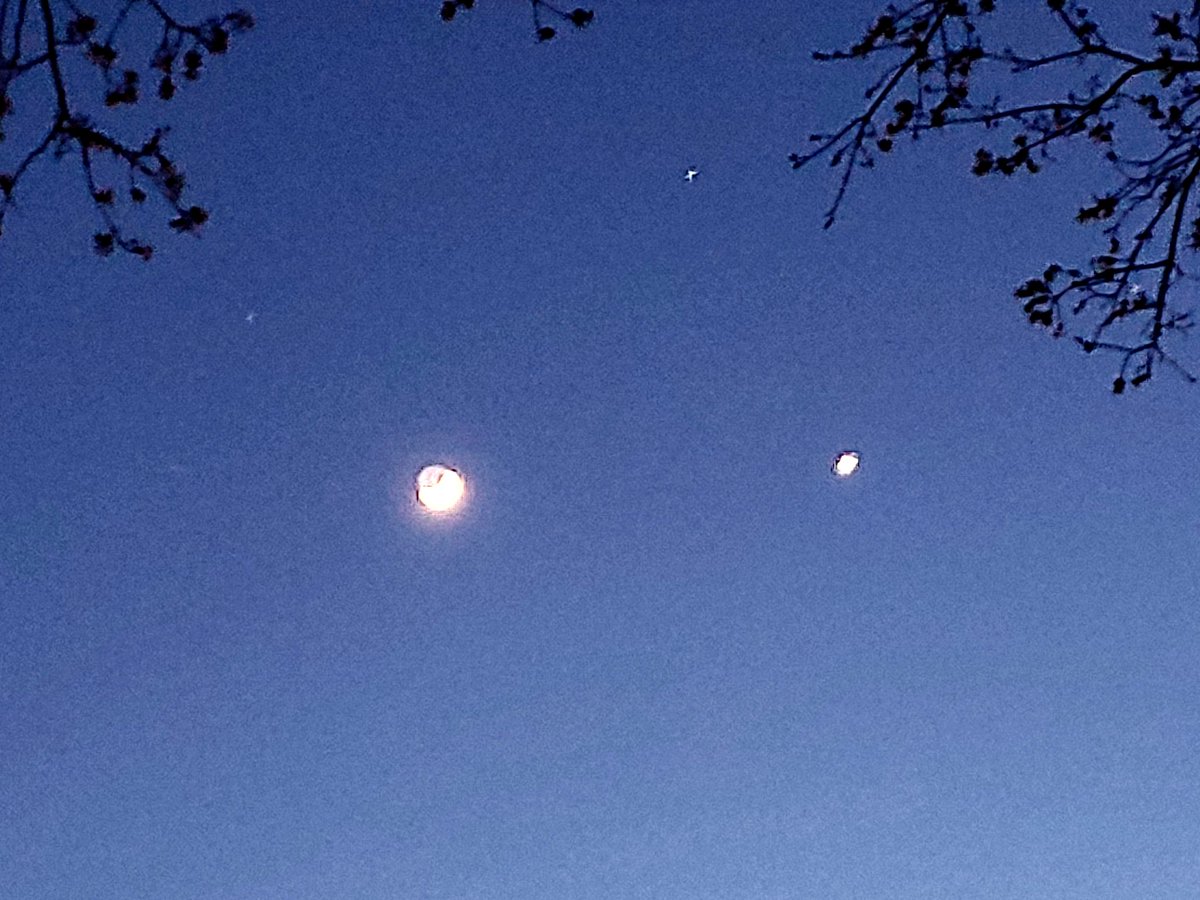 coolryanMBA's tweet image. #venus #moon #AloneTogether #Chicago 
Venus and Crescent Moon chicago