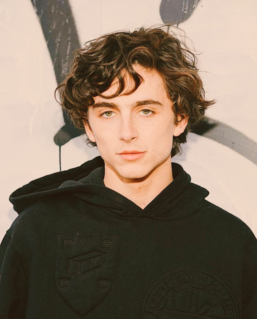 Timothée Chalamet as Travis Scott songs: a thread