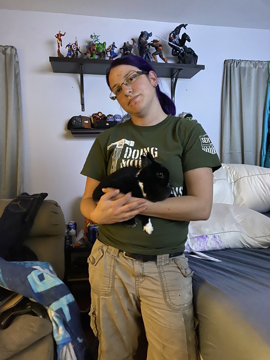 AllisonSporkrox's tweet photo. To save us all from the craziness of everything going on, as essential workers. Here are my fluffy rays of sunshine on my dreary rough days. Mittens, Percy and phantom. https://t.co/uUvA1Orpa1