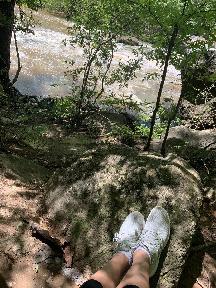 Allie Robinson tweet media