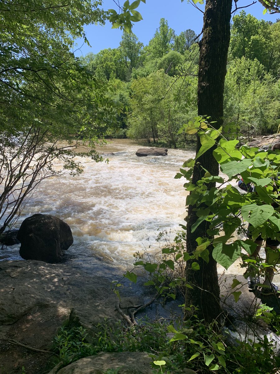 Allie Robinson tweet media