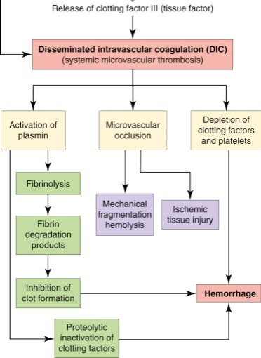 So do these findings reflect overt DIC? Or is something else at play?First let’s review what overt DIC looks like: