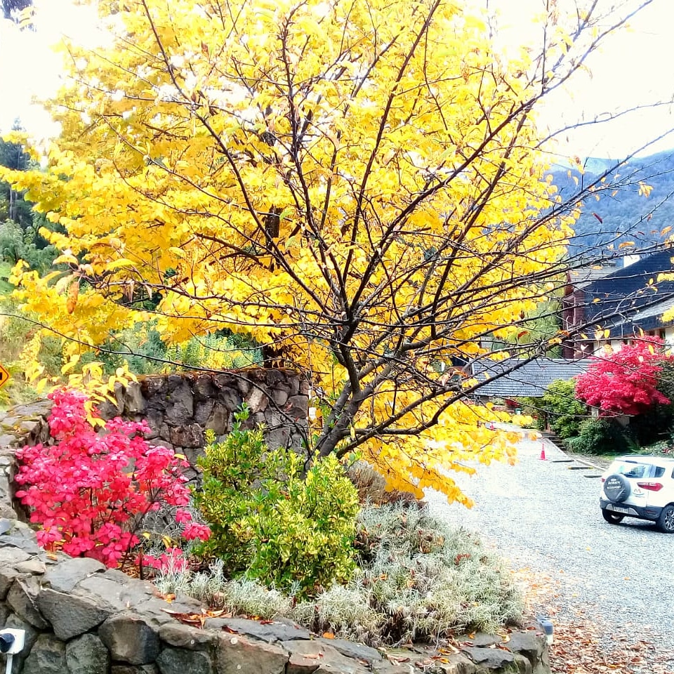 Cómo Te extrañamos #ManzanoResort querido!!! ❤❤❤ Poco a poco vamos sintiendo que ya no falta tanto 😉😉😉

Mientras, #yomequedoencasa  🤙 #VillaLaAngostura #Patagonia #Otoño #Montañaresort