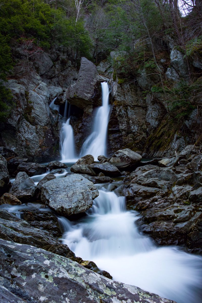 Thú Tran tweet media