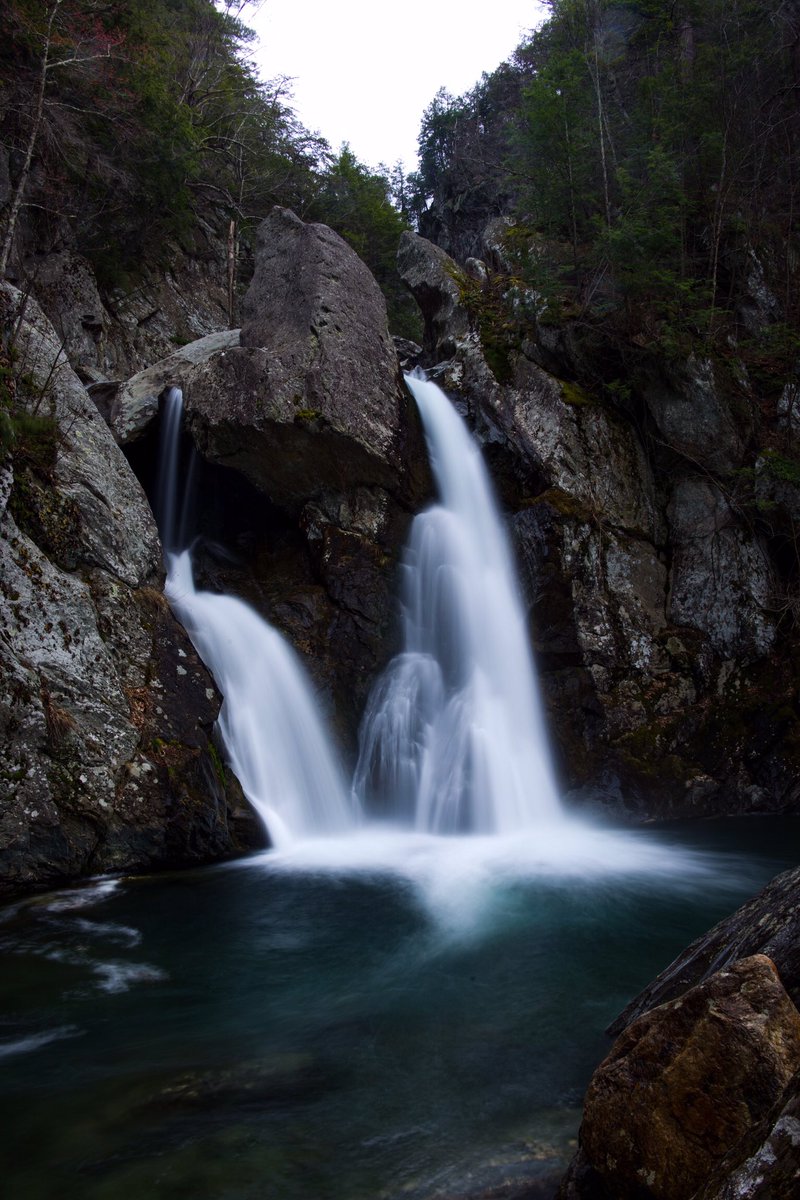 Thú Tran tweet media